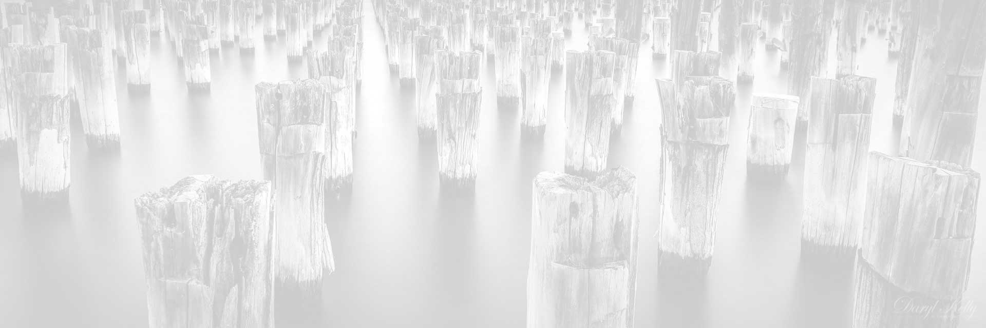 Daryl Kelly Photography